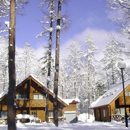 Log Cottage Epoch Хакуба-Мура Экстерьер фото